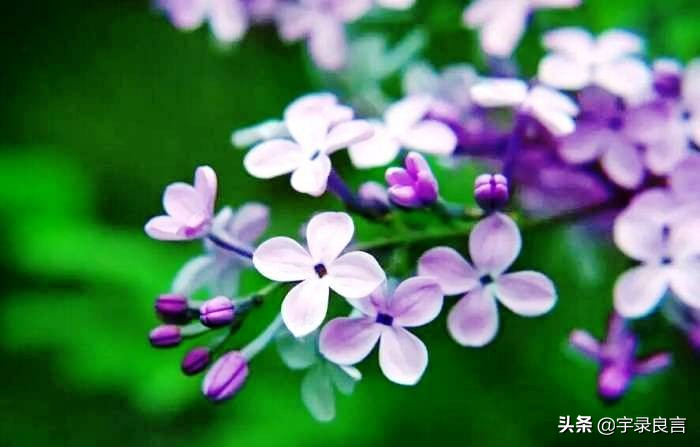 霸气的句子超拽潇洒不带脏字,抖音赞美点赞的霸气句子