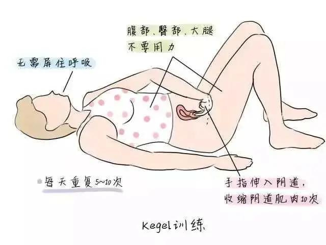 产后盆底肌无力会导致肚子大吗,产后如何锻炼盆底肌防止漏尿