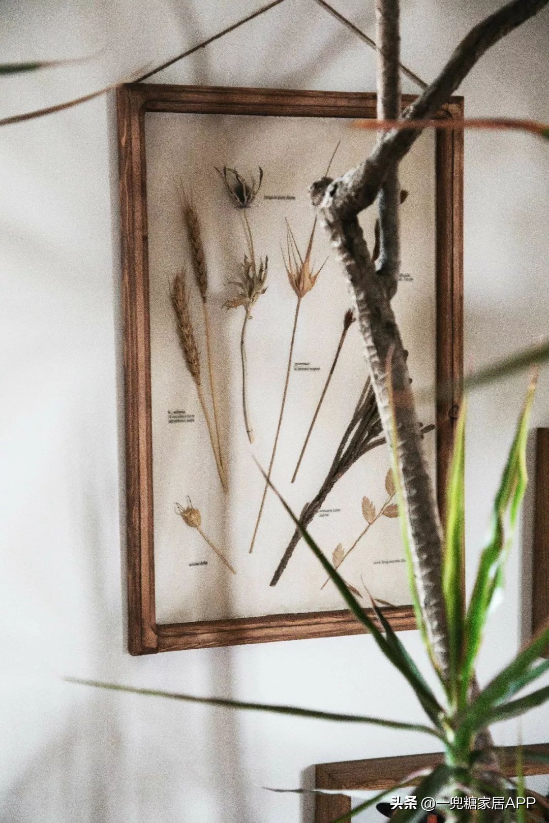 黑色直纹橱柜装修效果图,入门玄关橱柜效果图