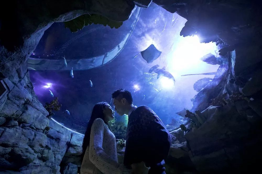 香港海洋公园门票多少钱,香港海洋公园门票票价