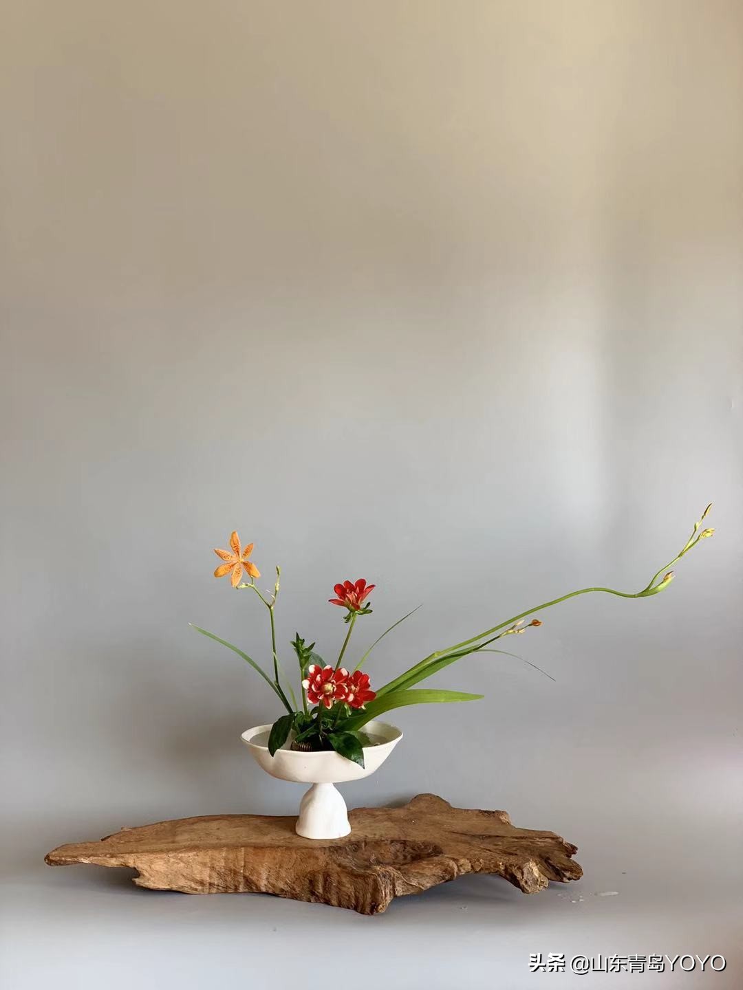 小原流插花入门,花意匠插花视频