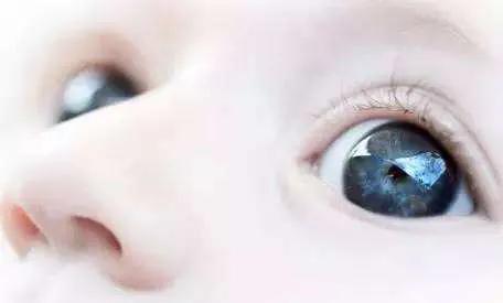 小学生吃dha好处,dha藻油粉的好处