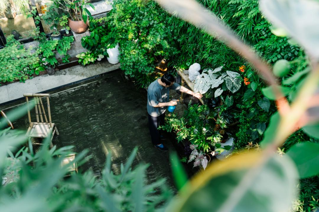 老实说，哥哥们爱起花草来，更疯狂