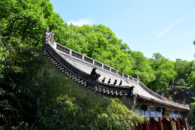 中国佛教四大名山记忆,佛教四小名山