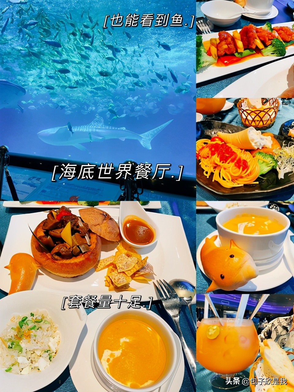 珠海长隆亲子游团,珠海长隆海洋王国亲子游