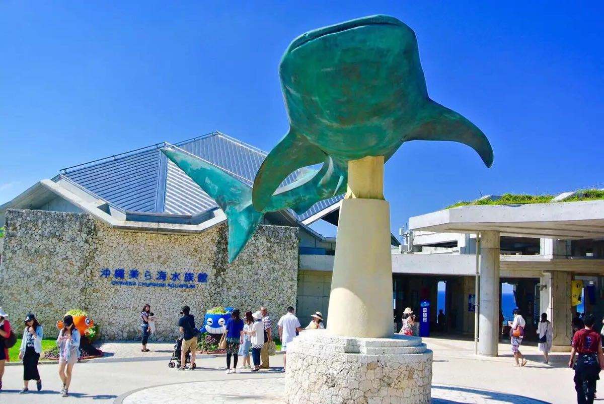 全世界最好玩的水族馆,世界十大水族馆