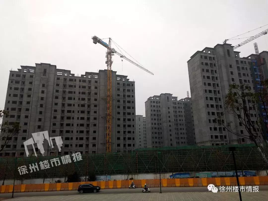 徐州森林公园,徐州森林公园开放时间最新