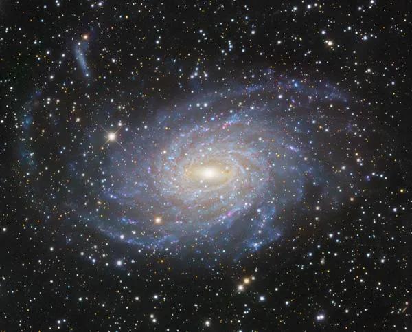 牛郎星和织女星为什么相遇,语文牛郎星和织女星真的会相会吗