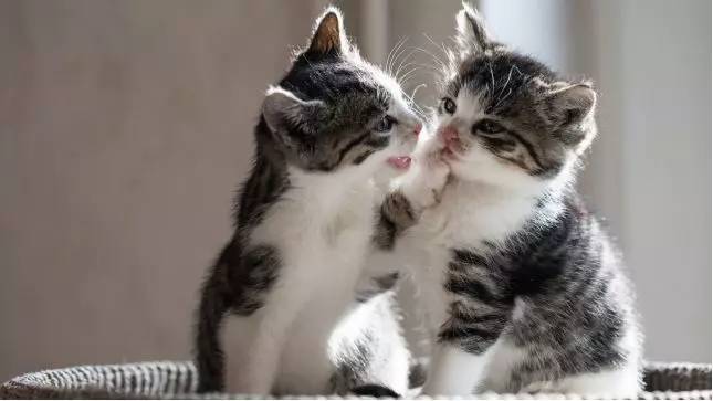 市盈率达到90倍可以入手吗,市盈率负200倍是好是坏