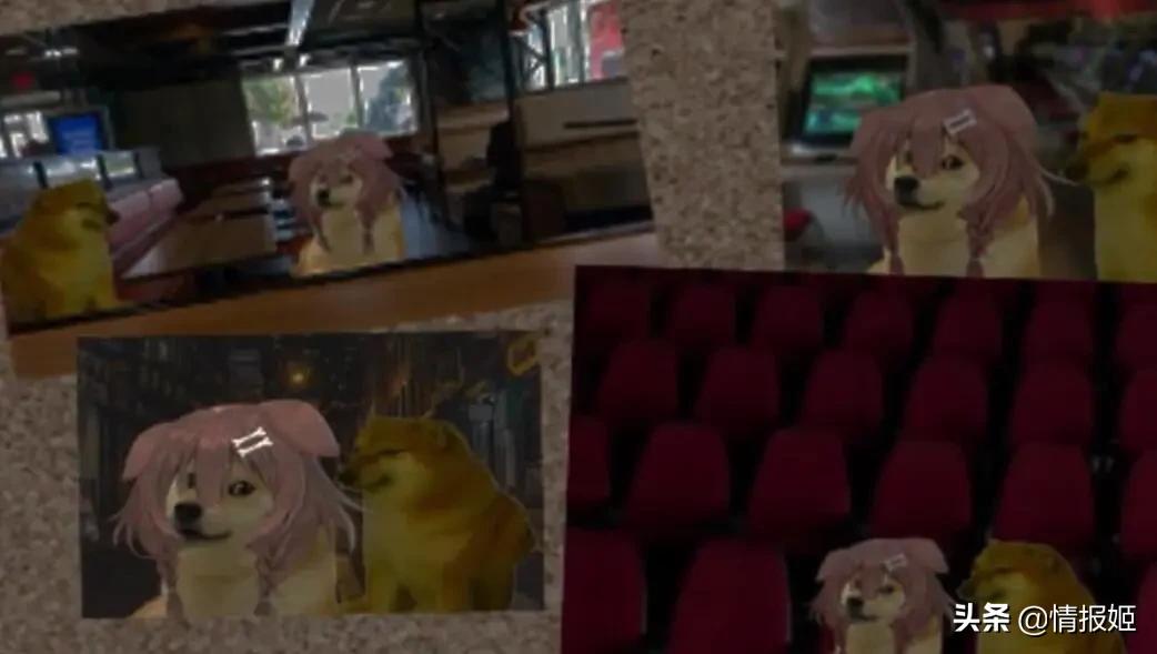 被做成表情包的柴犬doge,doge柴犬表情包万恶之源