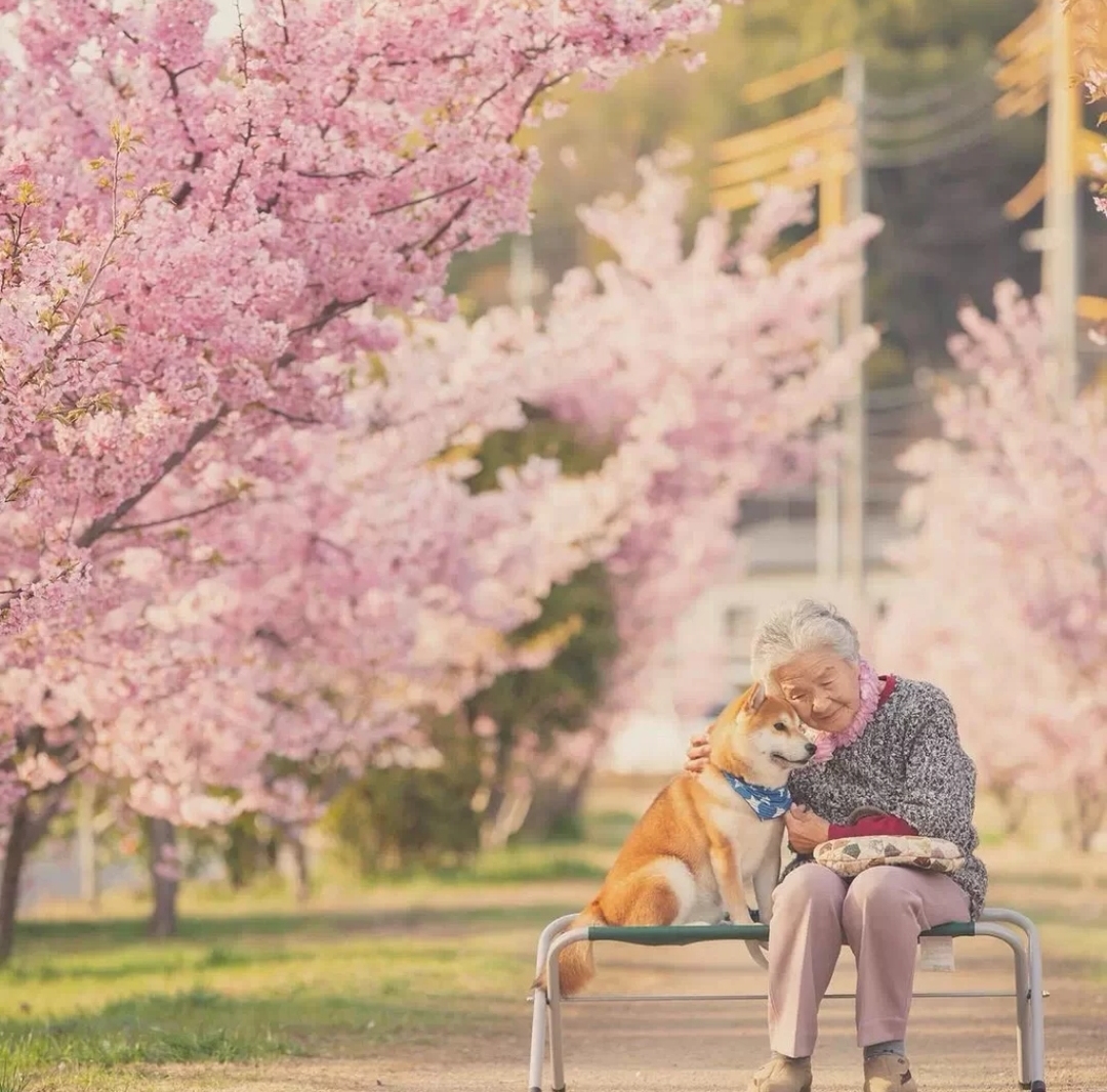 送爸妈礼物鞋子推荐,送爷爷礼物鞋子推荐