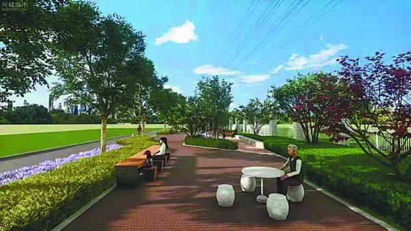 树木被大面积折断事件,27棵百年梨树深夜被拦腰砍断