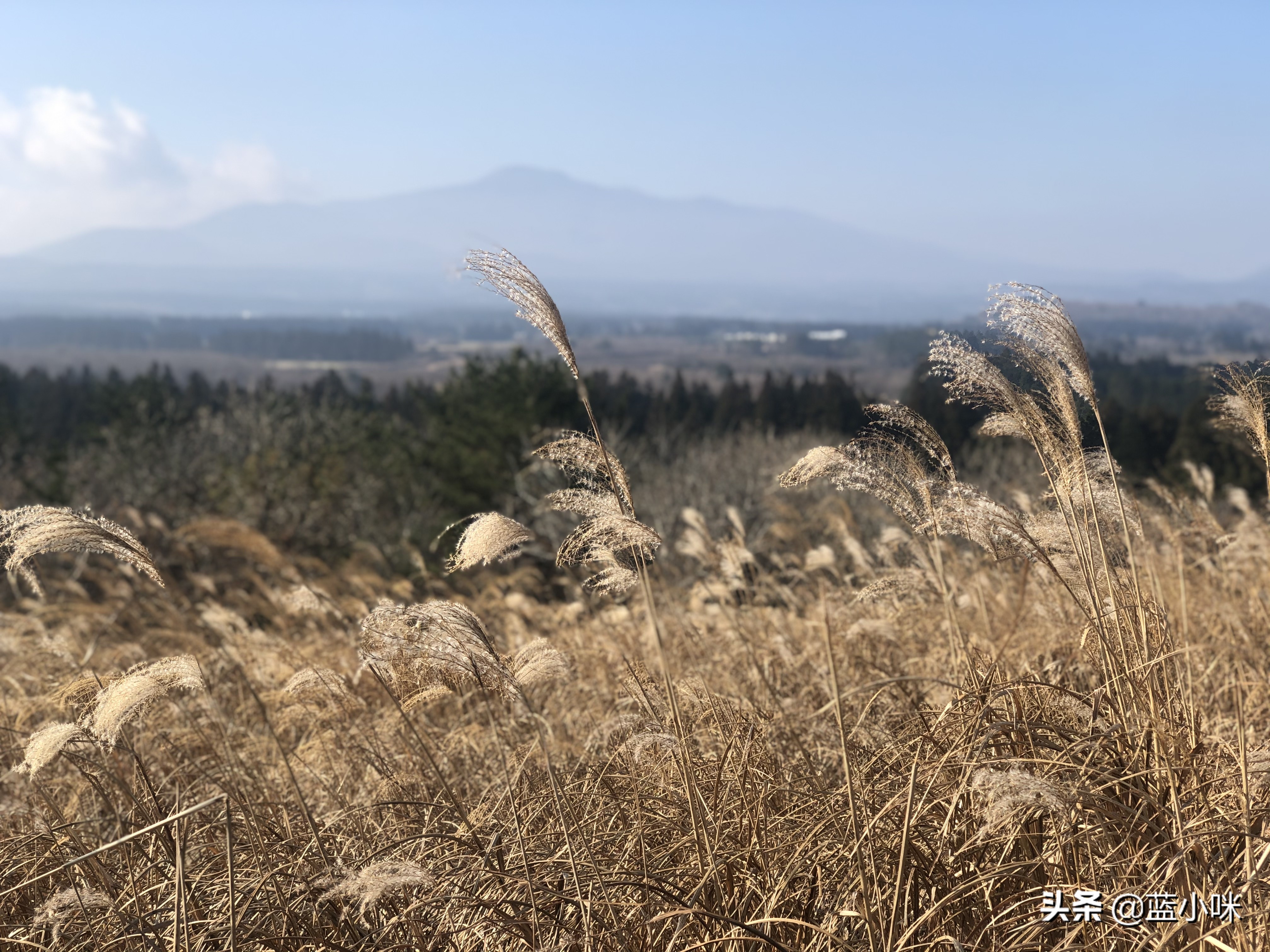 济州岛山君不离完整版,原始济州岛游玩攻略