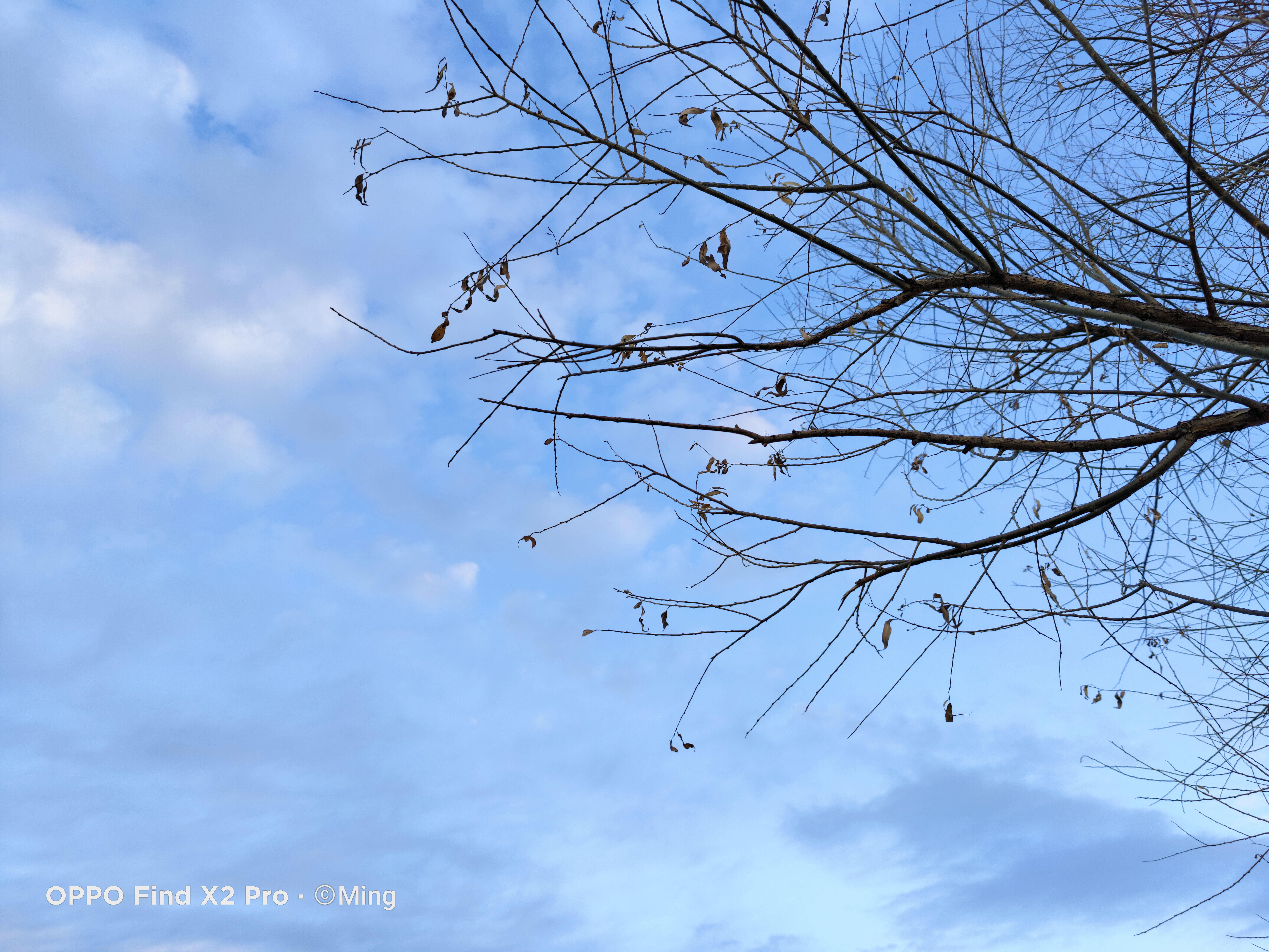 超感体验oppofindx2pro开箱随谈,oppofindx2pro深度评测视频