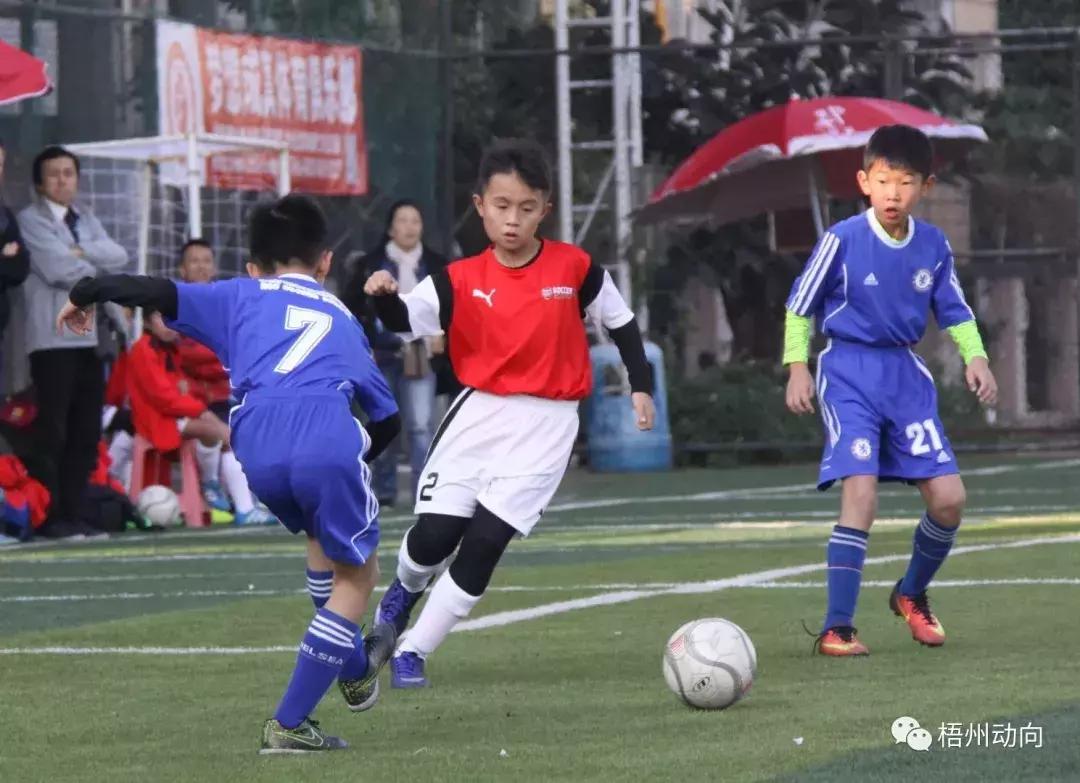 足球训练营公益,足球带给孩子们更多的快乐和成长