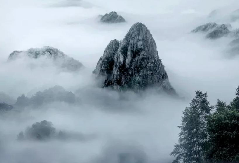 6首春雨诗词惊艳了我们,20首春雨诗词一朝春雨过万物