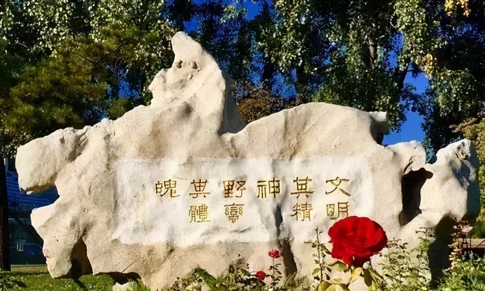 以别样的方式进入高考体育即将“C位”出道I新赛道