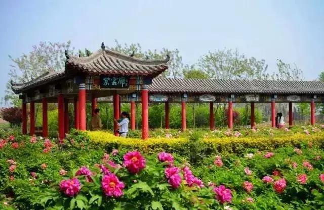 天津赏花好玩的公园,天津东丽湖哪里可以赏花