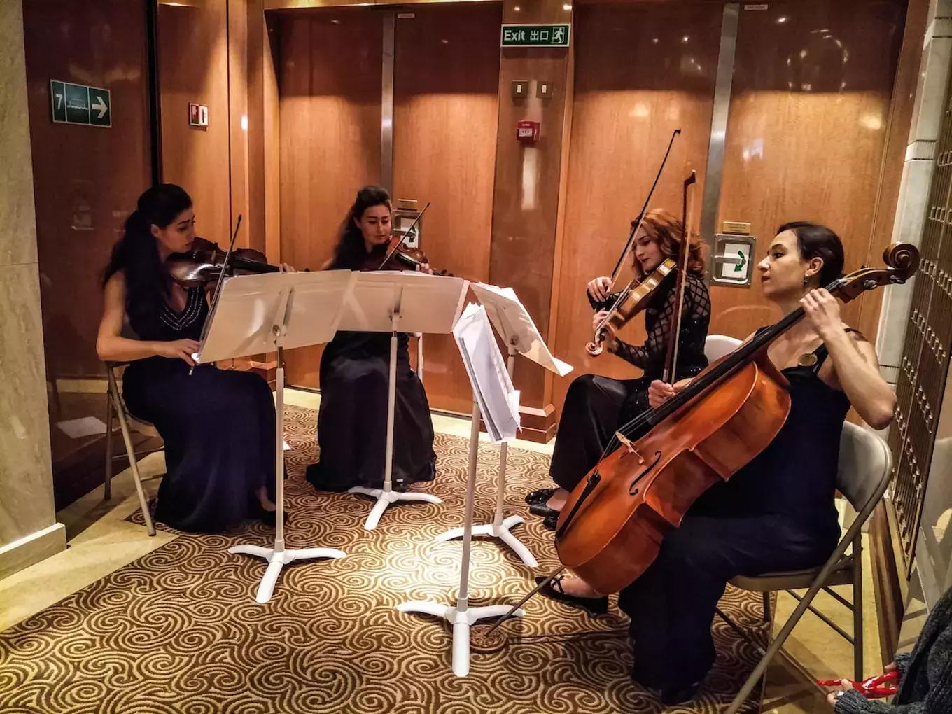 环球蜜月的小两口，免费上了一座价值8亿欧元的邮轮