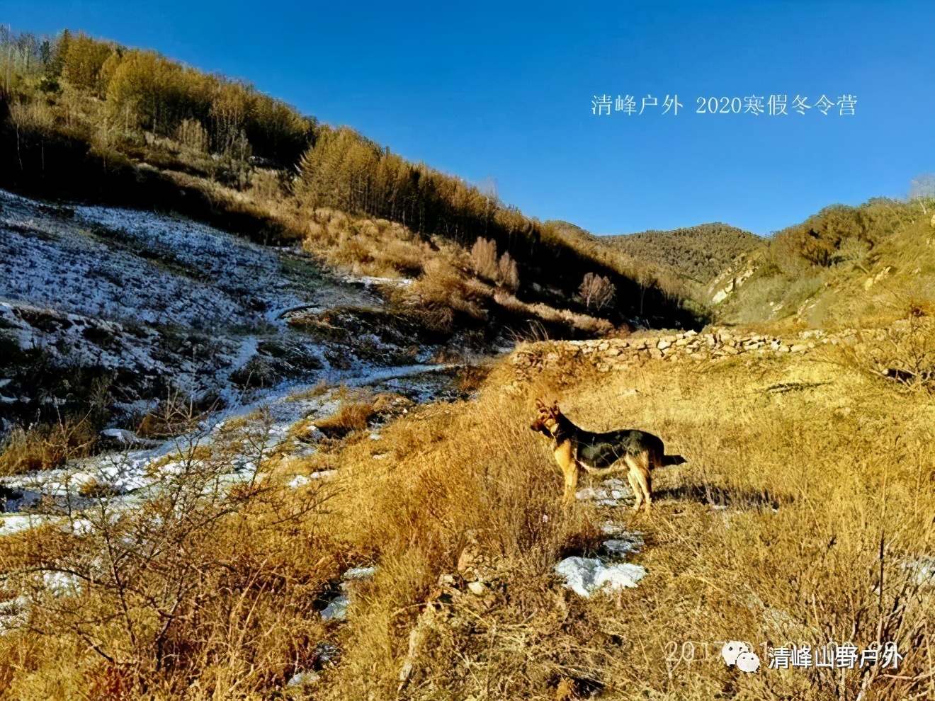 适合小学生寒假去的冬令营,冬天儿童冰雪游学