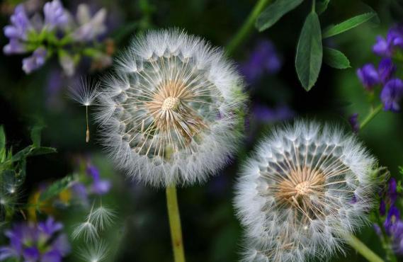 濂冲＋鍙ｈ厰棣欐按鎸佷箙鐣欓,濂介椈鍙ｈ厰鍠烽浘棣欐按