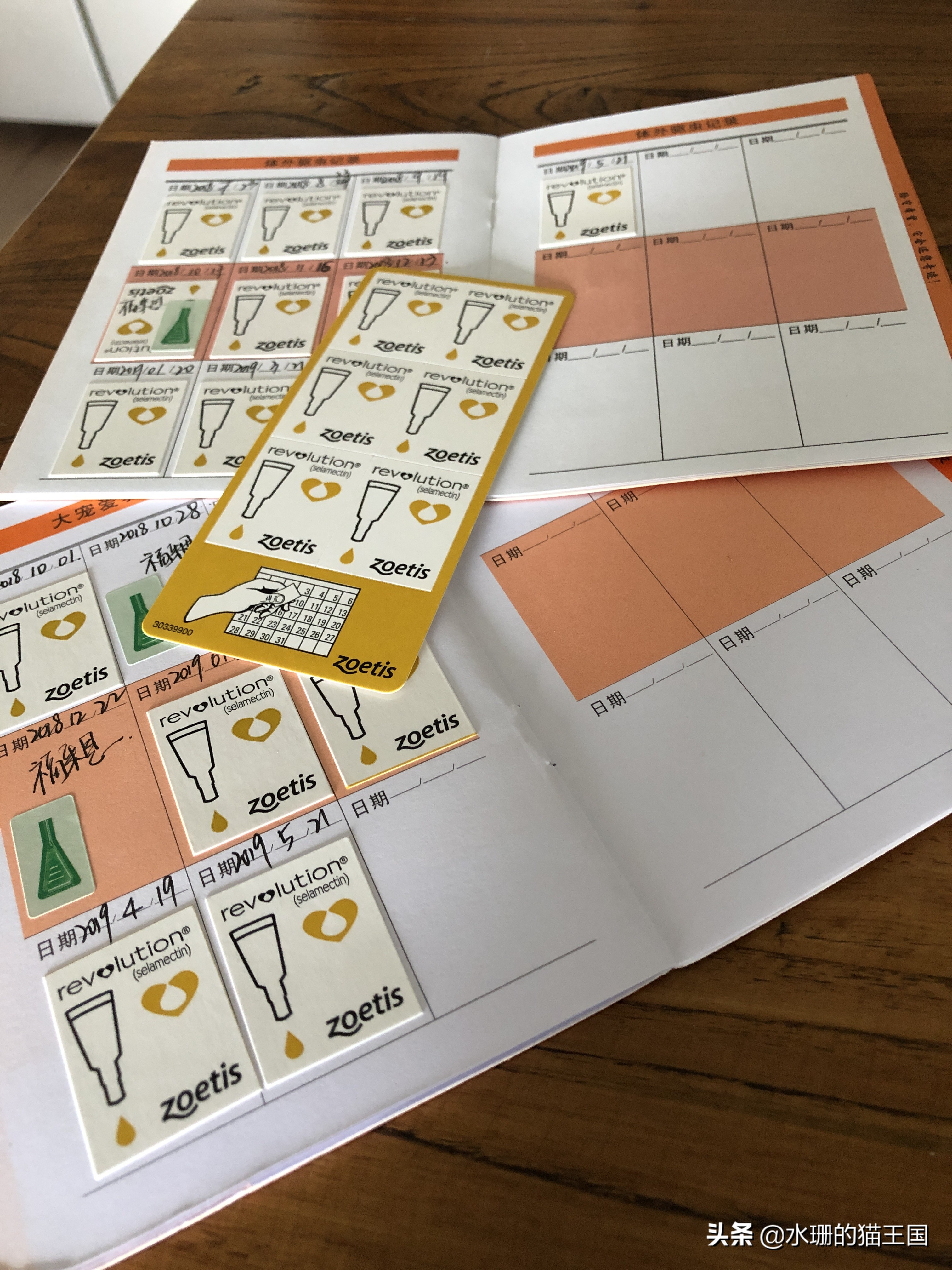 猫咪体外驱虫注意哪些事项,猫咪体外驱虫了要注意什么