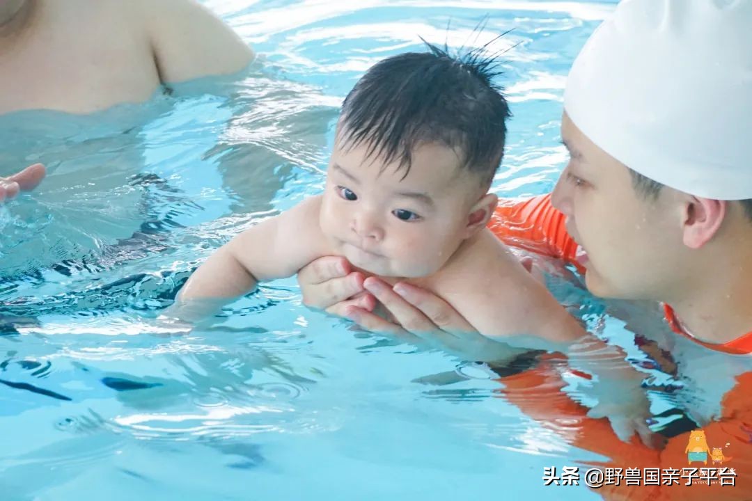 东莞儿童篮球培训机构哪个好,东莞儿童健身球哪家好