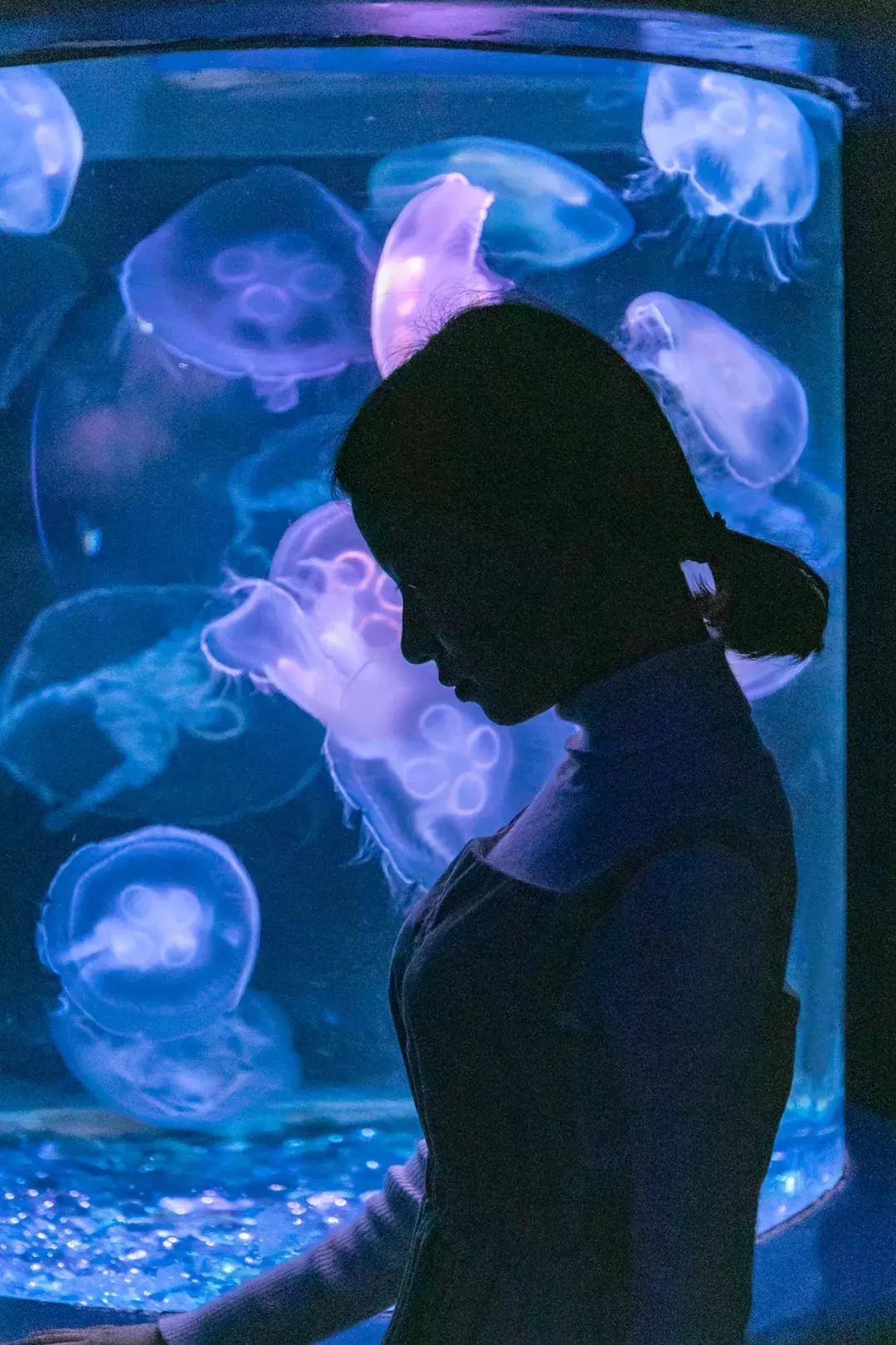 4号线值得逛的地方,9号线有什么地方可以玩