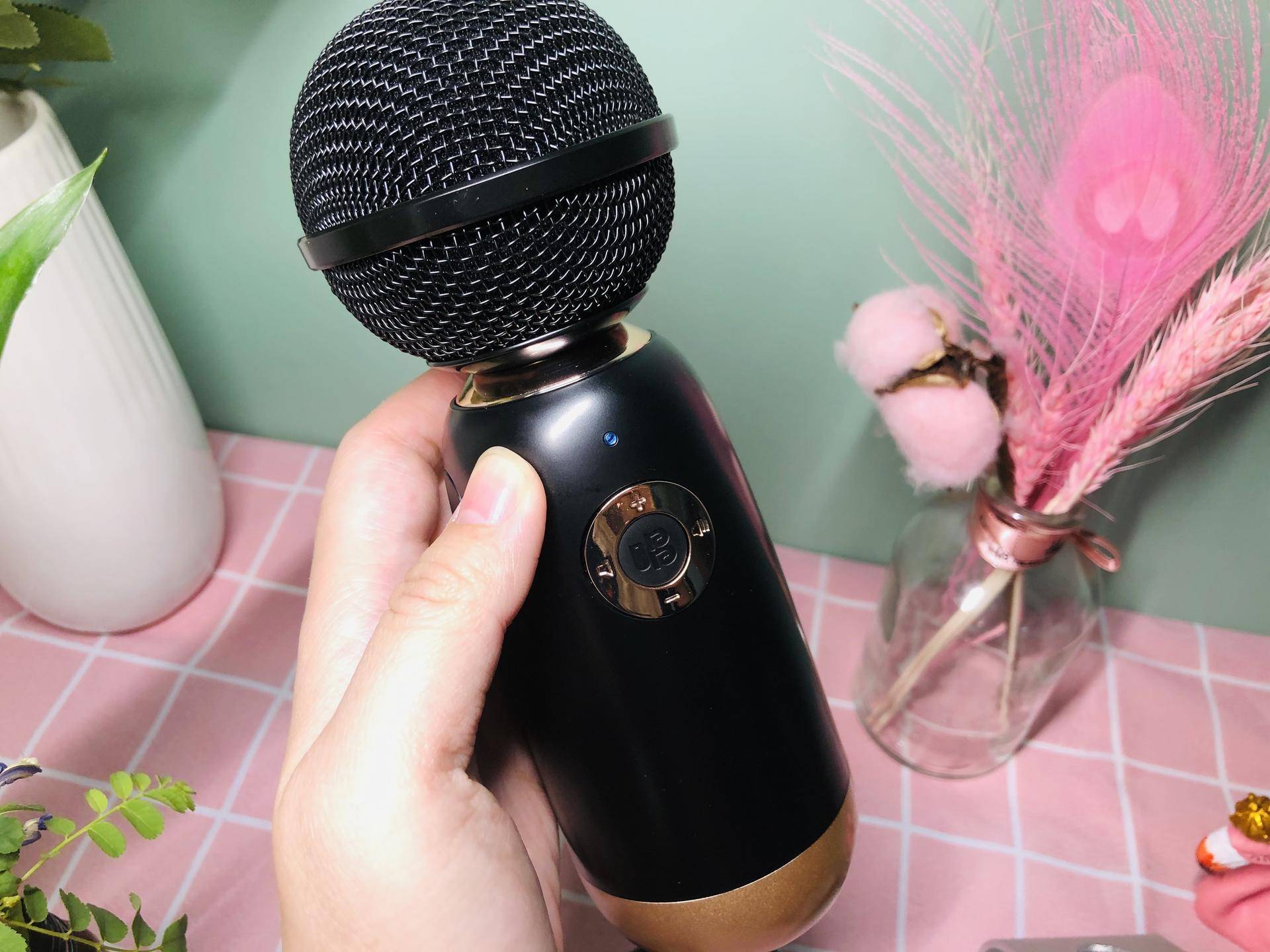 家用k歌麦克风李佳琦,李佳琦直播唱吧麦克风