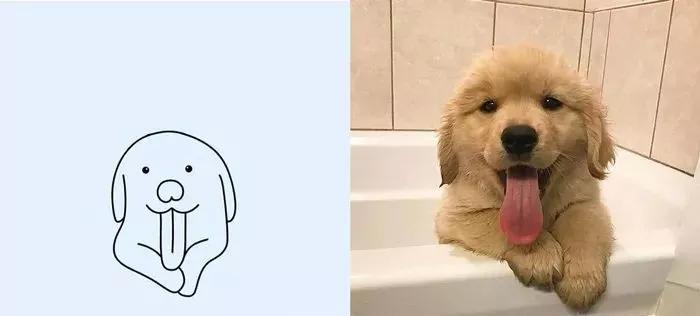 一波可爱动物简笔画,超火的简笔画动图