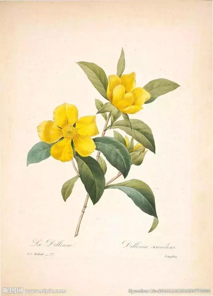 有趣的记字儿歌,形近字识字儿歌大全100首