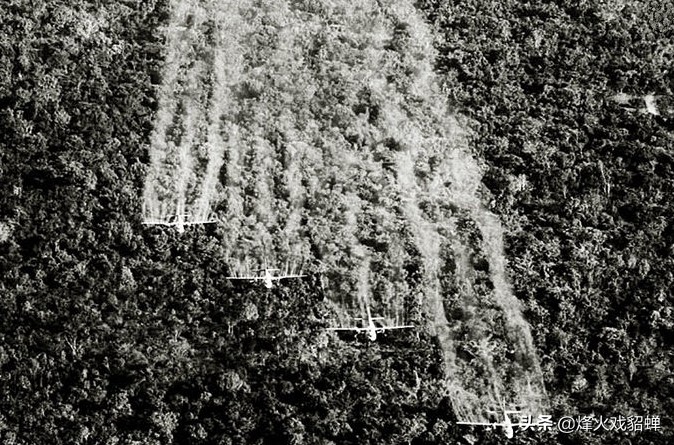 越战美军越南女兵,越战时期美国人对付越南女兵