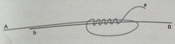 海钓pe各种线结打法,pe线海钓线结绑法