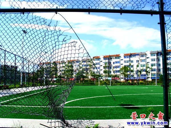 辽河公园足球场营口,营口管网漏水维修