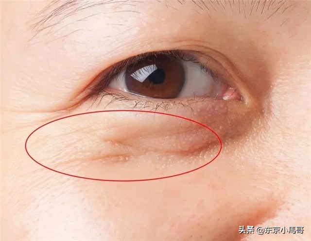 资生堂悦薇系列有2种吗,资生堂悦薇系列怎么搭配