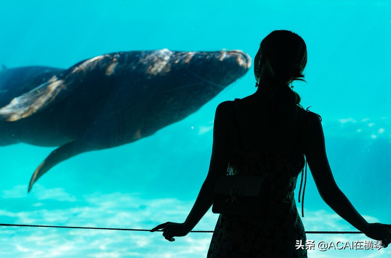 吃喝玩乐in珠海,珠海吃喝玩乐一体的地方