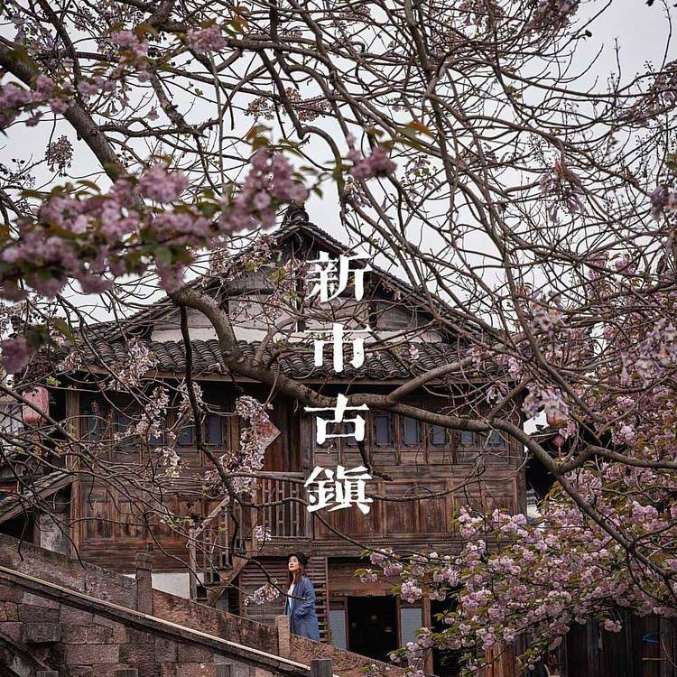 杭州附近自驾一日游亲子,遛娃好去处杭州绝美亲子游