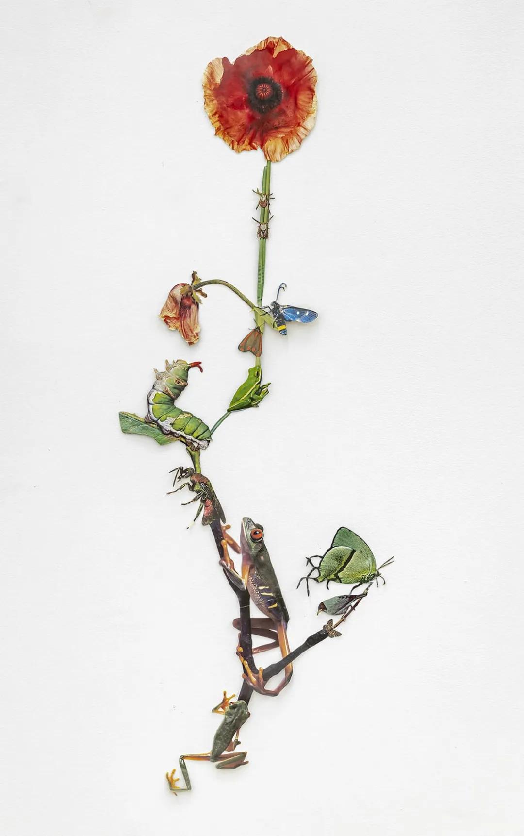 纸手工艺术,手工纸艺术