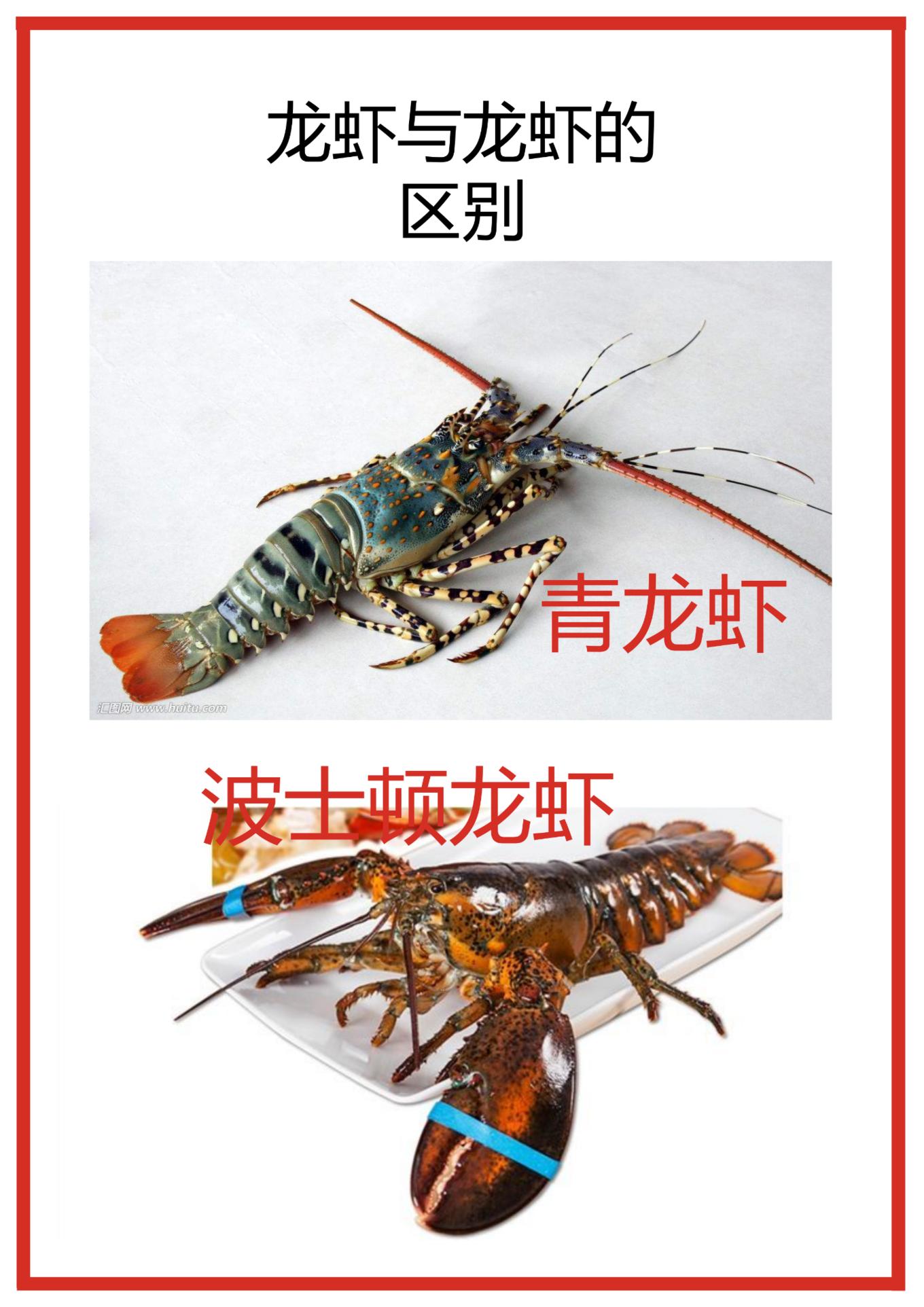 三亚旅游吃海鲜防宰攻略,三亚蜈支洲岛吃海鲜攻略