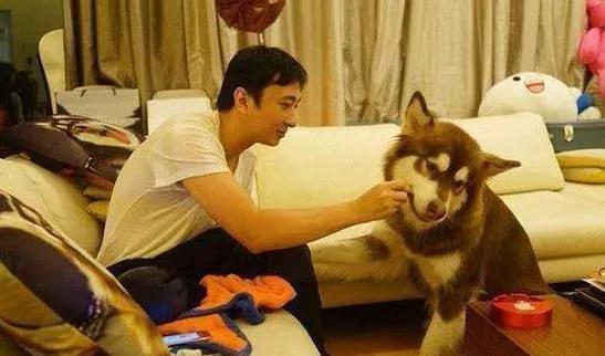 选择万达接班人，王健林会另起炉灶？王思聪陪练游戏每小时666元