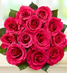 香槟玫瑰花颜色代表含义,玫瑰花朵颜色的含义