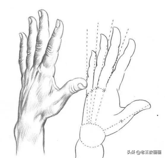 学画素描入门教程,学画人像素描应该先练会啥