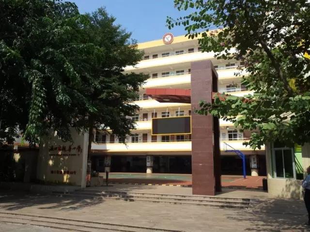 最美小学,海口优秀的小学