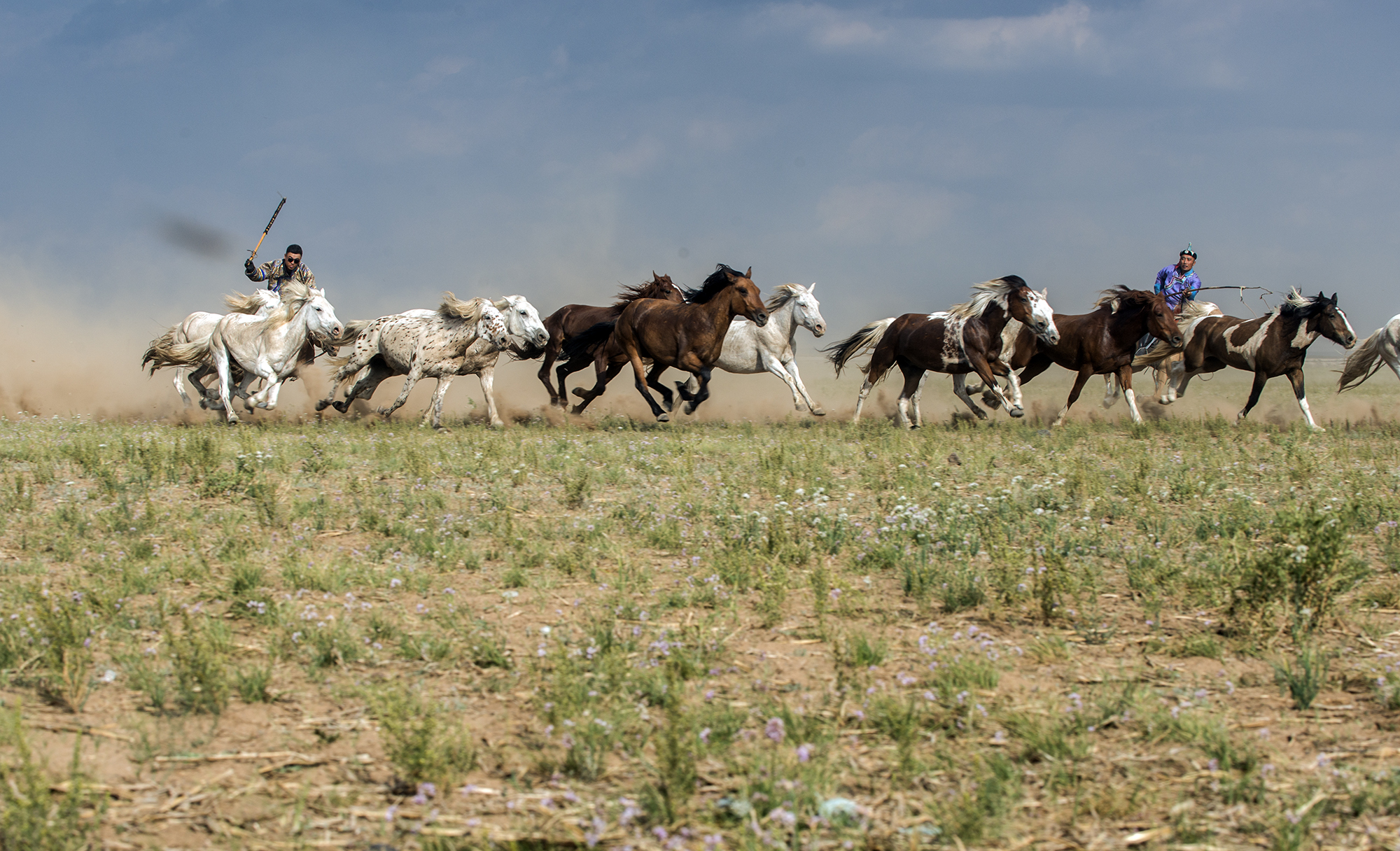 蒙古族传统体育之赛马,蒙古族传统体育项目博克
