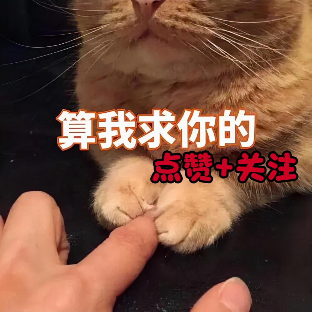 睡前一个小故事小说,睡前故事一个小故事