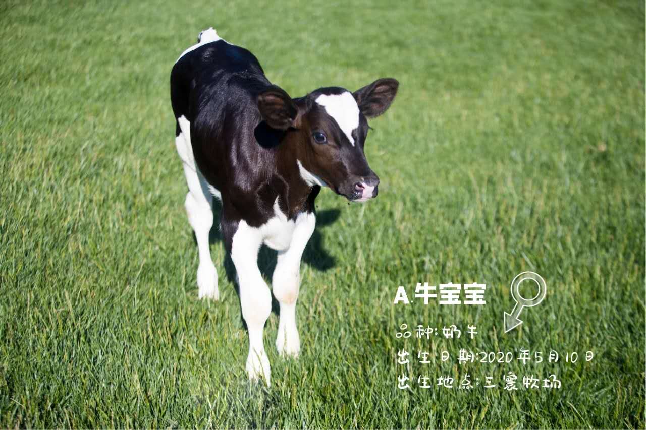 大连六一去哪儿玩,六一大连有免费玩的地方吗