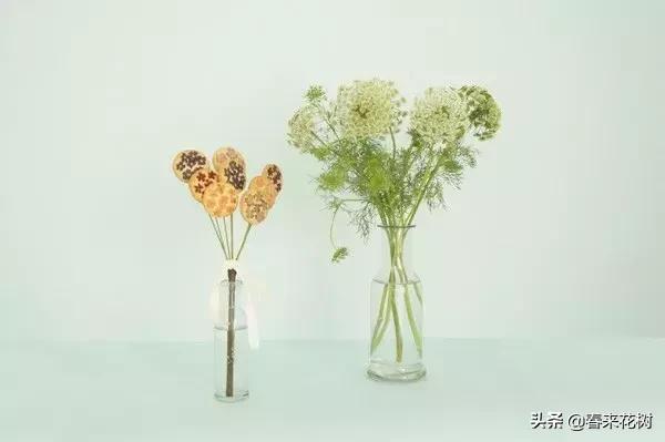 日本东京花店推荐,超美的花店