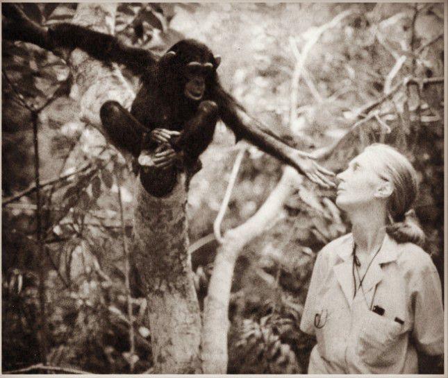 人类体毛为什么消失,人类体毛是什么时期脱掉的