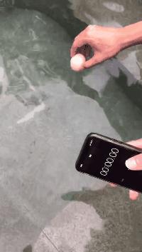 和数学博士的浪漫温泉之旅，他教会了我这些数学知识！