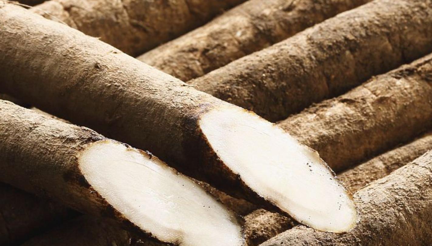 新鲜的牛蒡怎么做才好吃,牛蒡怎么做才好吃又简单